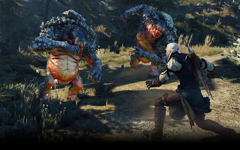 The Witcher 3: Wild Hunt - Blood and Wine Release Date Leaked?