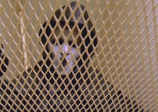 'Scream' season 2 Halloween special air date, spoilers: Is Brandon James really back?