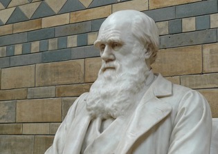 Majority of Britons reject creationism but some are still skeptical about evolution