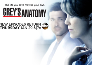 'Grey's Anatomy' Season 11 Recap, New Episode Air Date; Show To Resume On Jan. 29, 2015