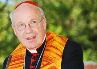 'Islamic conquest of Europe' warning issued by Austrian cardinal