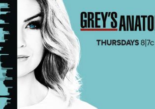 'Grey's Anatomy' season 13 episode 8 spoilers: Webber to be replaced by Eliza?