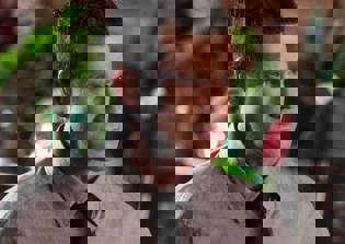 'Longmire' season 5 spoilers, cast rumors: Netflix favorite casts Dylan Walsh