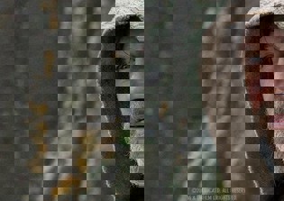 'Star Wars: Episode 8' news, spoilers: Director says film will pick up right where 'Episode 7' left off, teases cameos