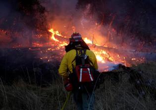 ISIS celebrates death toll from California wildfires in latest newsletter