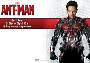 'Ant-Man and The Wasp' news, spoilers: Film is as much The Wasp's as it is Ant-Man's, director says