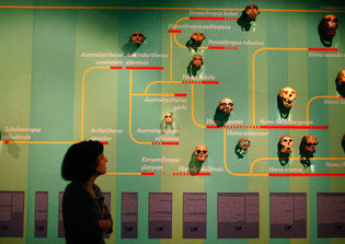 Senate committee refuses to scrub law on equal treatment of evolution and creation in Louisiana schools