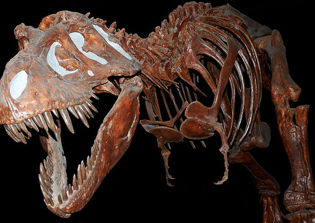 Texas education board votes to keep curriculum that questions theory of evolution