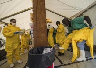 German Scientists Suggest Hollow Tree, Bats Source of Ebola Epidemic