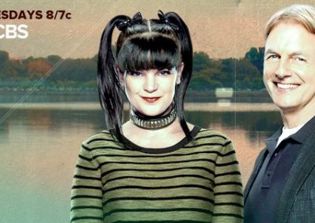'NCIS' season 14 return date, news, spoilers: Gibbs goes undercover and join the anti-government militia; Palmer risks his life on a mission
