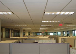 Miami worker who smeared oily crosses over co-workers cubicles loses discrimination lawsuit as federal judge throws out case