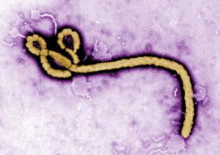 Ebola Outbreak Latest News: Health Worker Exposed To Deadly Virus Arrives In Nebraska