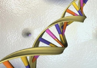 Biblical explanation on human origin explains human DNA diversity and challenges evolution - research
