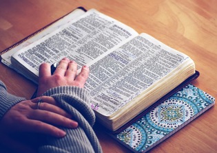 New Zealand youth prefer reading printed Bible rather than Bible Apps, survey says